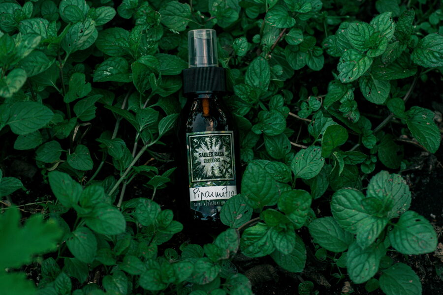 MIX: Piparmētra + Pūķgalve