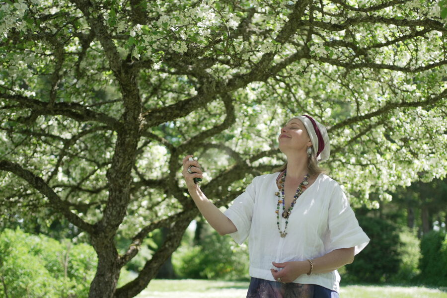 MIX: Vībotne + Ugunspuķe + Asinszāle